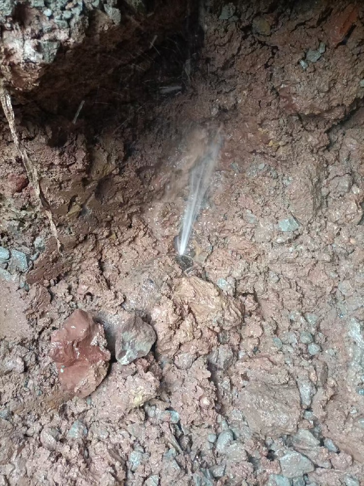 蒙阴县本地服务：自来水管漏水检测维修